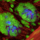 Image for article titled Why you'll be eating quantum dots twenty years from now